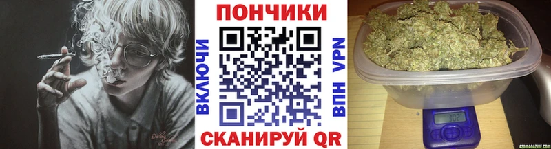 как найти наркотики  Дербент  hydra зеркало  Каннабис White Widow 